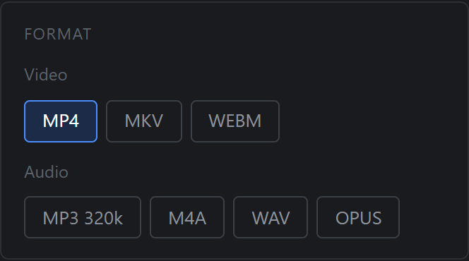 Format options MP4, MKV, WEBM and audio formats MP3, M4A, WAV, OPUS
