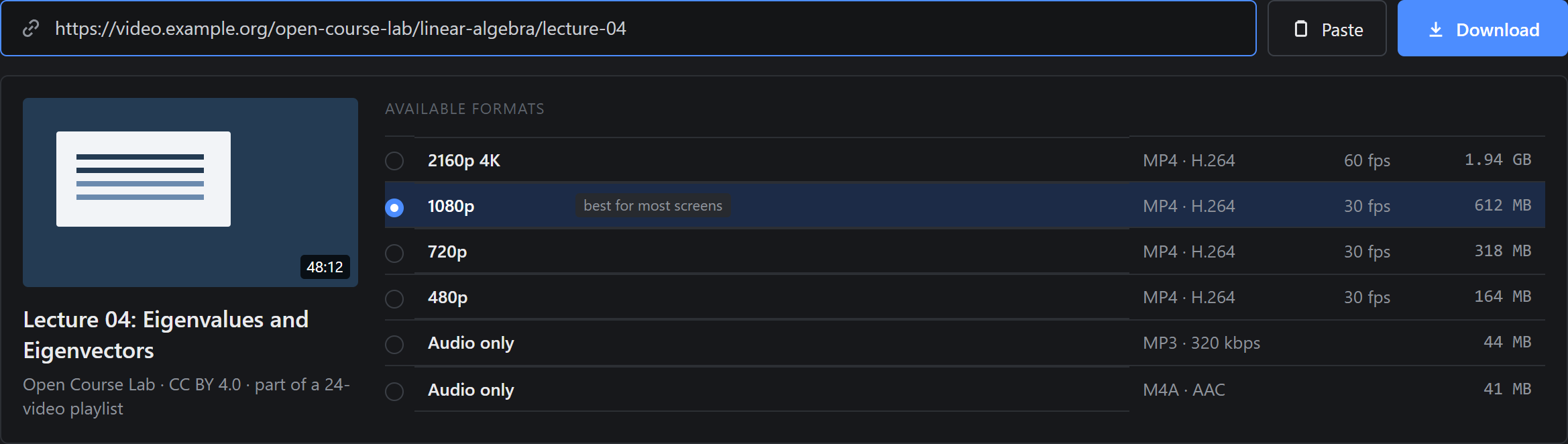 Pasted link with the detected video and a list of formats from 2160p to MP3 with file sizes