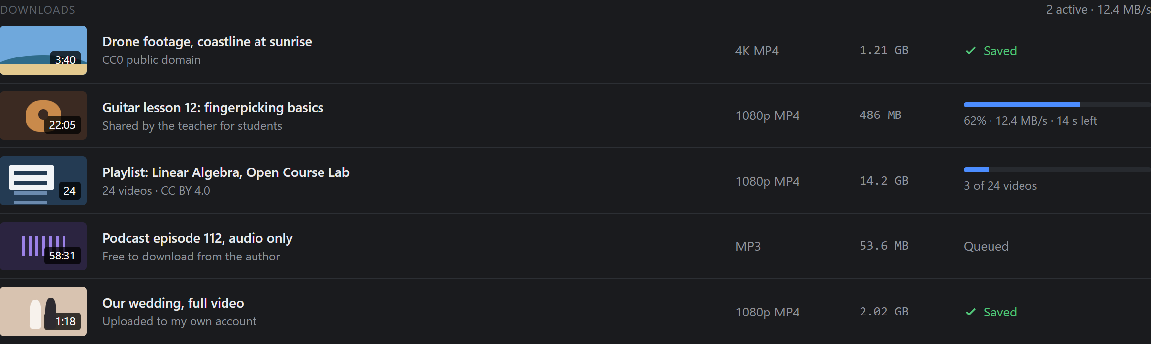 Download queue with finished videos, a video at 62% and a playlist at 3 of 24